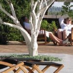שר התיירות לנדאו:"מיסוי תיירות המרפא, נזק בלתי הפיך"