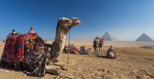 הפירמידות של גיזה במצרים. צילום Depositphotos