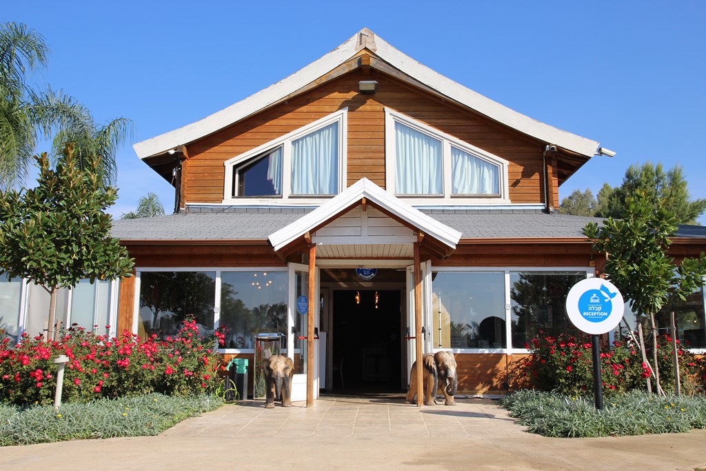 לובי מלון הויליג'. מלון מטיילים על הירדן. צילום ליטל ליכט