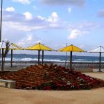 אשדוד של "עמים וטעמים", "שבתיירות", מוזיאונים וקולינריה    