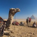 מצרים שוברת שיאים חדשים במספר המבקרים ב-2023