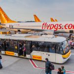 פגסוס איירליינס חוזרת להפעיל טיסות לישראל
