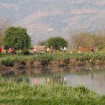 מרוץ העגור 2025: עשור של ריצה בין העגורים בעמק החולה