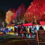 Winter Lights: האירוע המרכזי של החורף בגן הבוטני בירושלים