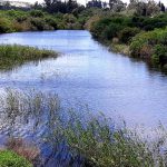 שש הכרזות חדשות על שמורות טבע וגן לאומי בישראל, כולם באזור המרכז
