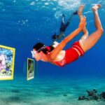 פסטיבל RED SEA DIVING: שלושה ימים של חגיגת צלילה באילת