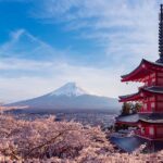 נפלאות פריחת הדובדבן – יפן 2023