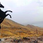 הסוס בסוסיתא: חדש בגן לאומי סוסיתא