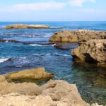 ים בטבע: מוזמנים לסיור בשמורת טבע חוף דור הבונים