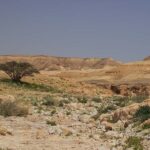 למטיילים: קיים חשש משיטפונות במדבר יהודה וים המלח