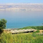 'איים' של שלווה: סיורים באתרי טבע, תרבות וחקלאות במועצה אזורית תמר