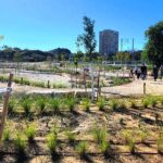 חדש בחולון: בריכת חורף ופארק טבע עירוני