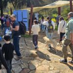 רבבות מטיילות/ים נהנו השבת מיפי הגנים הלאומיים ושמורות הטבע