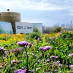 חודש הטבע העירוני: סיורים, סדנות ופעילויות ברחבי ת"א-יפו
