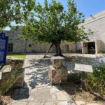 מוזיאון חומה ומגדל בקיבוץ חניתה נפתח שוב לקהל הרחב