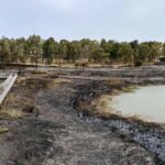 לא נטייל בה: שמורת טבע עיינות גבתון נשרפה כליל