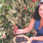 בוסתן 'בראשית' בעין זיוון בצפון רמת הגולן, מזמין לקטיף עצמי