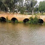 שביל ישראל בירקון: המסלול המושלם לחג שבועות