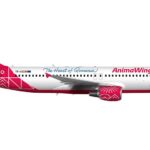 הקשר מתחזק: Animawings תשיק קו ישיר מבוקרשט לתל אביב
