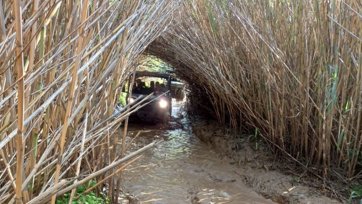 טיול שלוליות ברייזרים עם טרקטורוני הצפון באכזיב