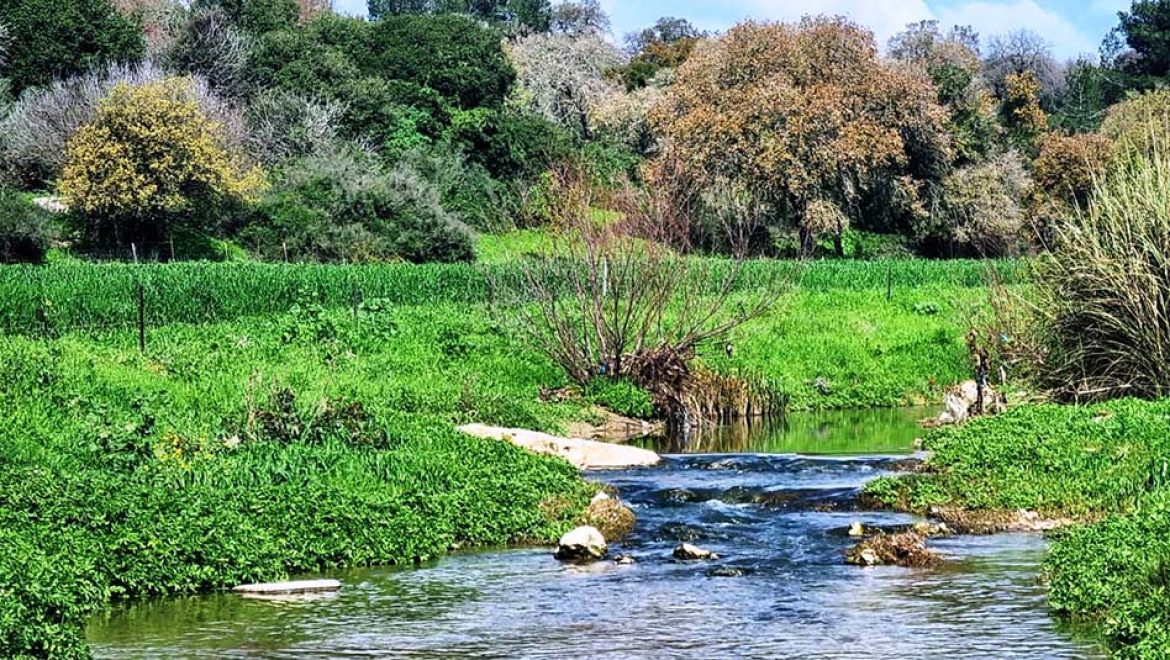 פסטיבל האביב בנחל ציפורי: חגיגה גלילית של טבע, מוזיקה ורב תרבותיות