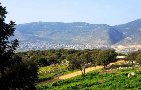 לראשונה: פסטיבל 'בא לי גליל' – אביב קולינרי באשכול בית הכרם