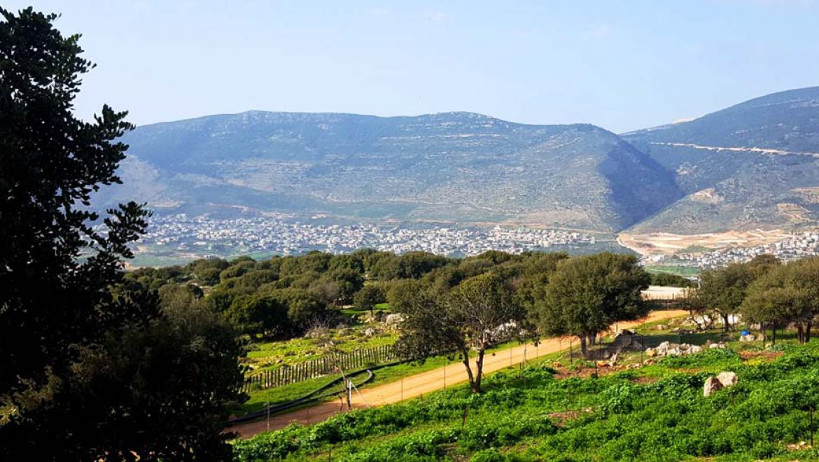 לראשונה: פסטיבל 'בא לי גליל' – אביב קולינרי באשכול בית הכרם