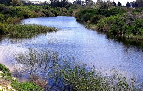 שש הכרזות חדשות על שמורות טבע וגן לאומי בישראל, כולם באזור המרכז