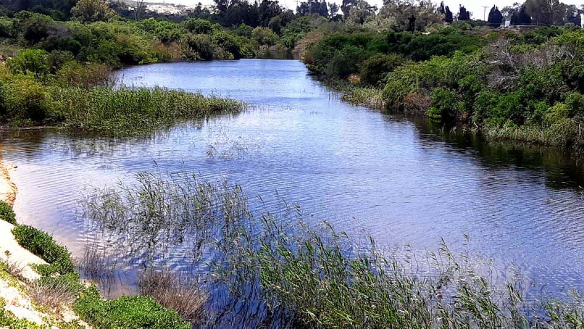 שש הכרזות חדשות על שמורות טבע וגן לאומי בישראל, כולם באזור המרכז