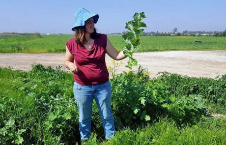 פסטיבל "ירוק ולא רחוק": 3 סופ"שים מהנים בטבע הירוק של שפלת יהודה