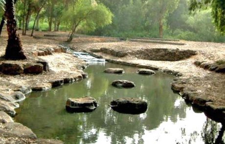 פסטיבל אביב ישראלי: קק"ל מציעה מגוון פעילויות חינמיות ברחבי הארץ