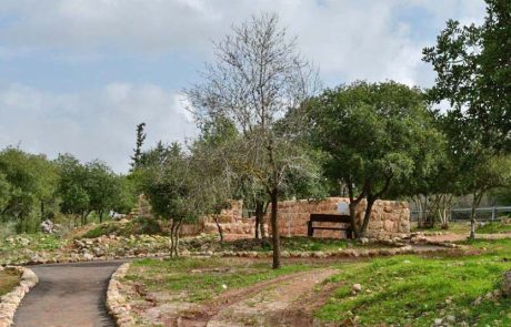 בעקבות גתות היין: קק"ל חושפת מסלולים מומלצים לגתות עתיקות