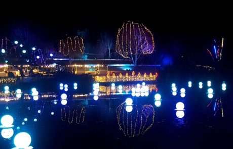 Winter Lights: נפתח האירוע הגדול של החורף, בגן הבוטני בירושלים
