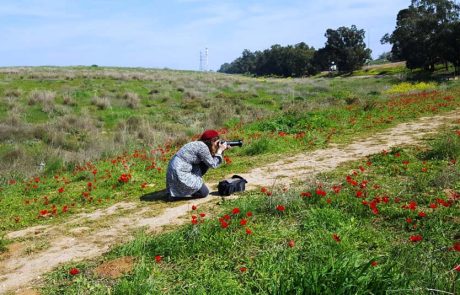 מוזמנים להכיר מקרוב: פסטיבל "ירוק ולא רחוק" בשפלת יהודה