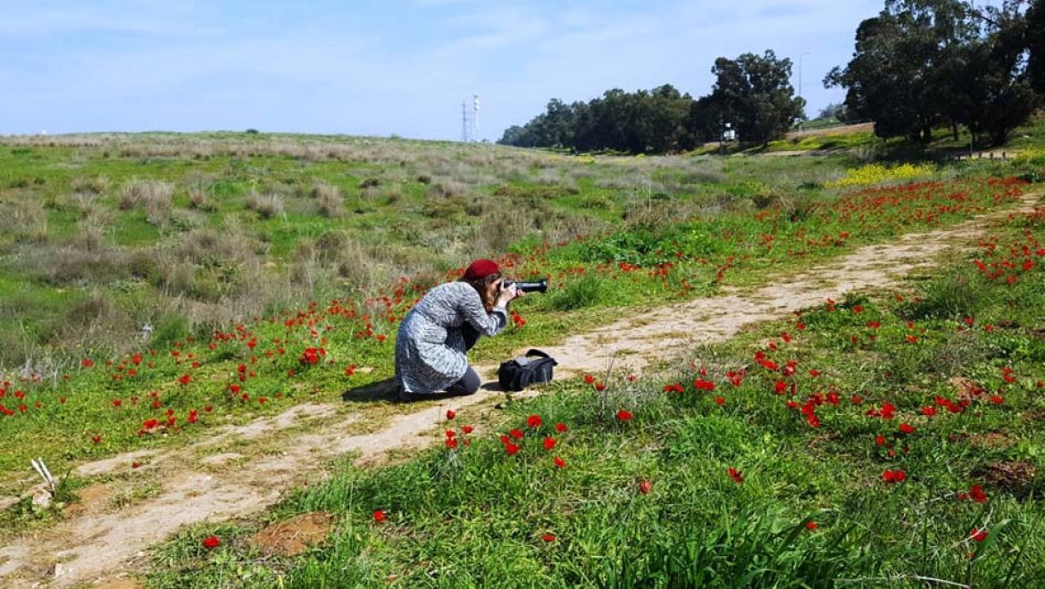 מוזמנים להכיר מקרוב: פסטיבל "ירוק ולא רחוק" בשפלת יהודה