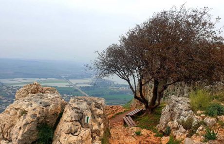 רומנטיקה בטבע ליום האהבה