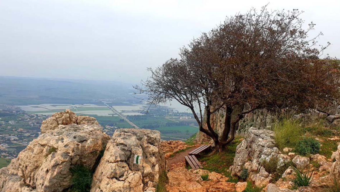 רומנטיקה בטבע ליום האהבה