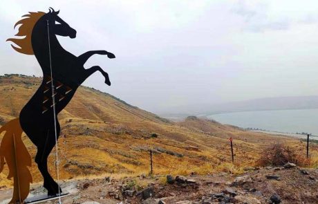 הסוס בסוסיתא: חדש בגן לאומי סוסיתא