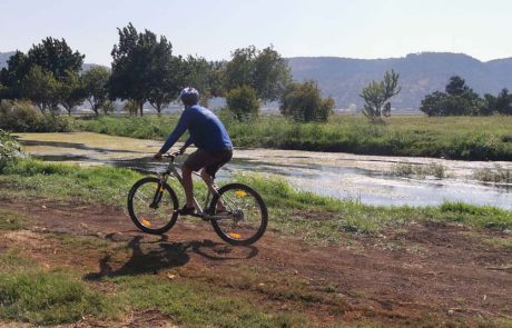 לרכוב עם ציפורים: חדש באגמון החולה קק"ל