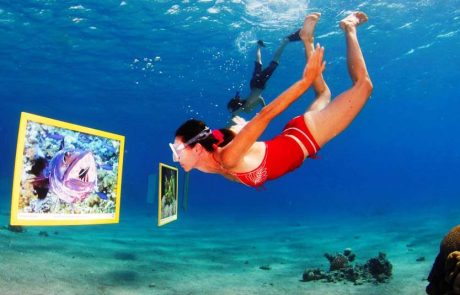 פסטיבל RED SEA DIVING: שלושה ימים של חגיגת צלילה באילת