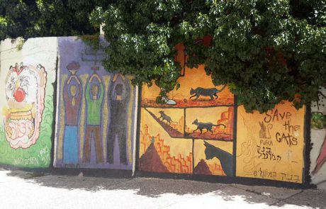 “50 גוונים של ירושלים”: סיור גרפיטי שמראה את העיר על הקיר