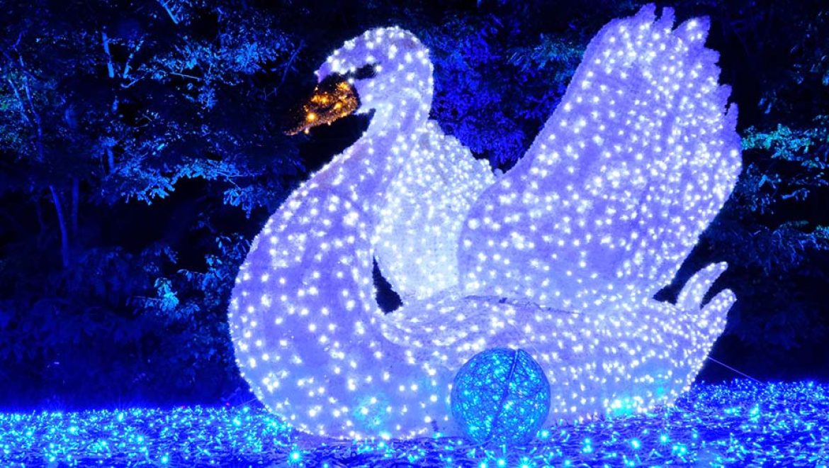 LUMAGICA - פסטיבל האור הבינלאומי . צילום  MK-illumination פסטיבל האור הבינלאומי LUMAGICA נוחת לראשונה בישראל