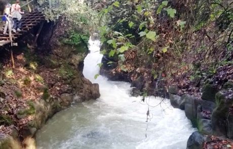 תוצאות חריגות בדיגום מים בנחלים מסוימים בצפון הארץ