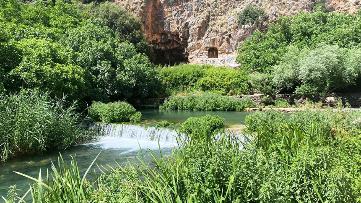 שבת שכולה בילוי בטבע