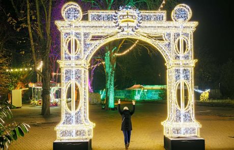 פסטיבל Winter Dreams II: נפתח בגן הבוטני בירושלים