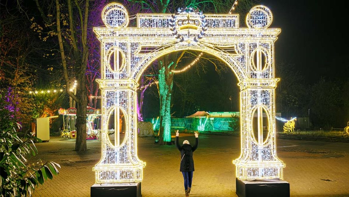 פסטיבל Winter Dreams II: נפתח בגן הבוטני בירושלים