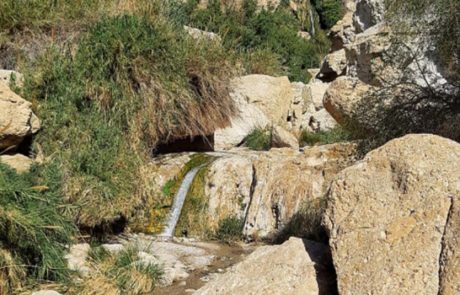 הבוקר אירוע מפולת סלעים בשמורת הטבע עין גדי, באיזור מפל נחל דוד
