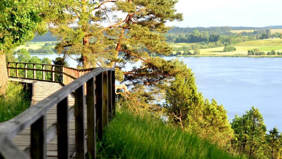 ליטא: הכבוד העצום שיש כאן לטבע
