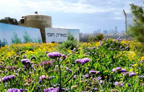 חודש הטבע העירוני: סיורים, סדנות ופעילויות ברחבי ת"א-יפו