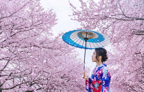 ANA ו-Japan Airlines מציעות טיסות פנים חינם לתיירים זרים